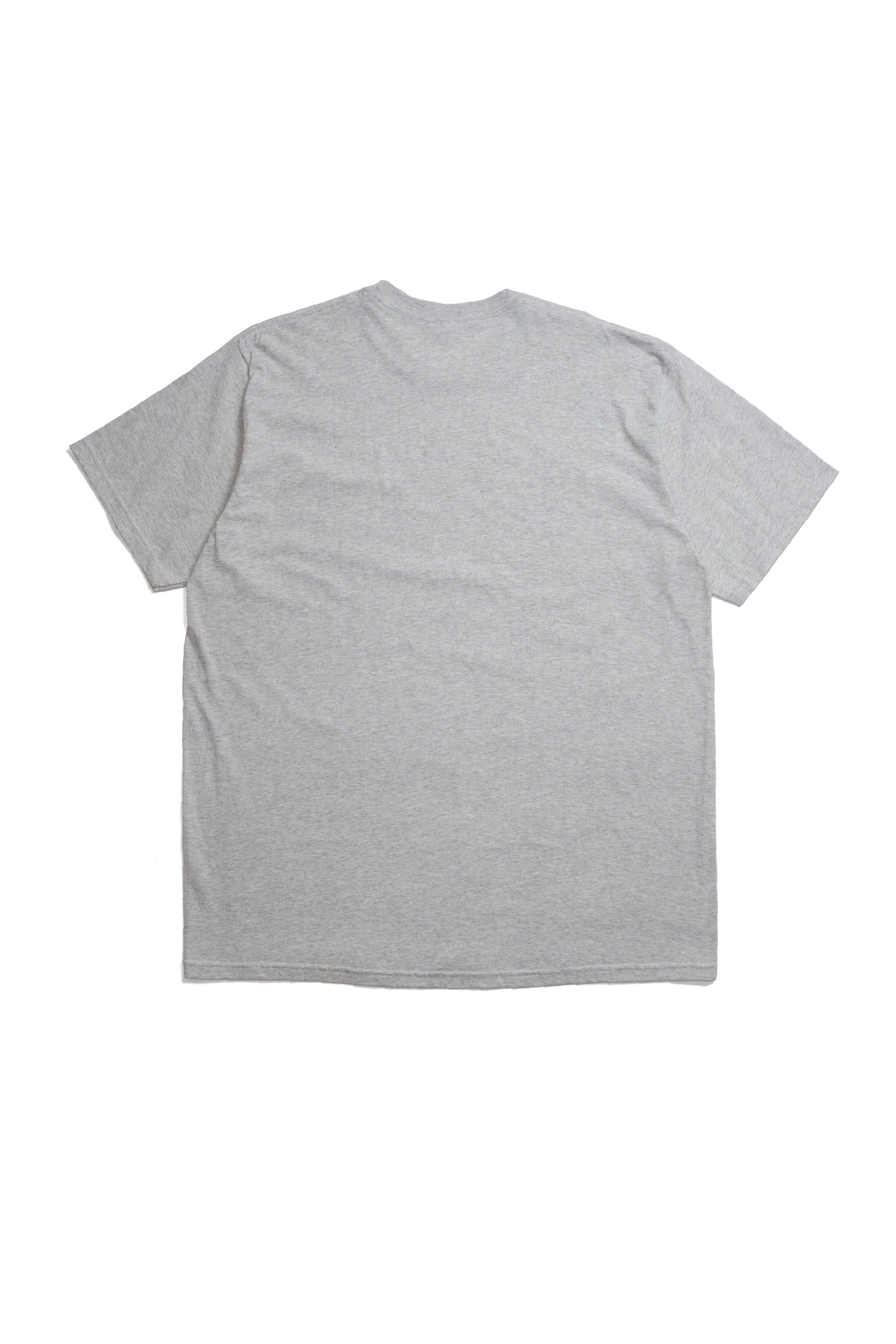 Box Logo Tee (FW23) Ash Grey
