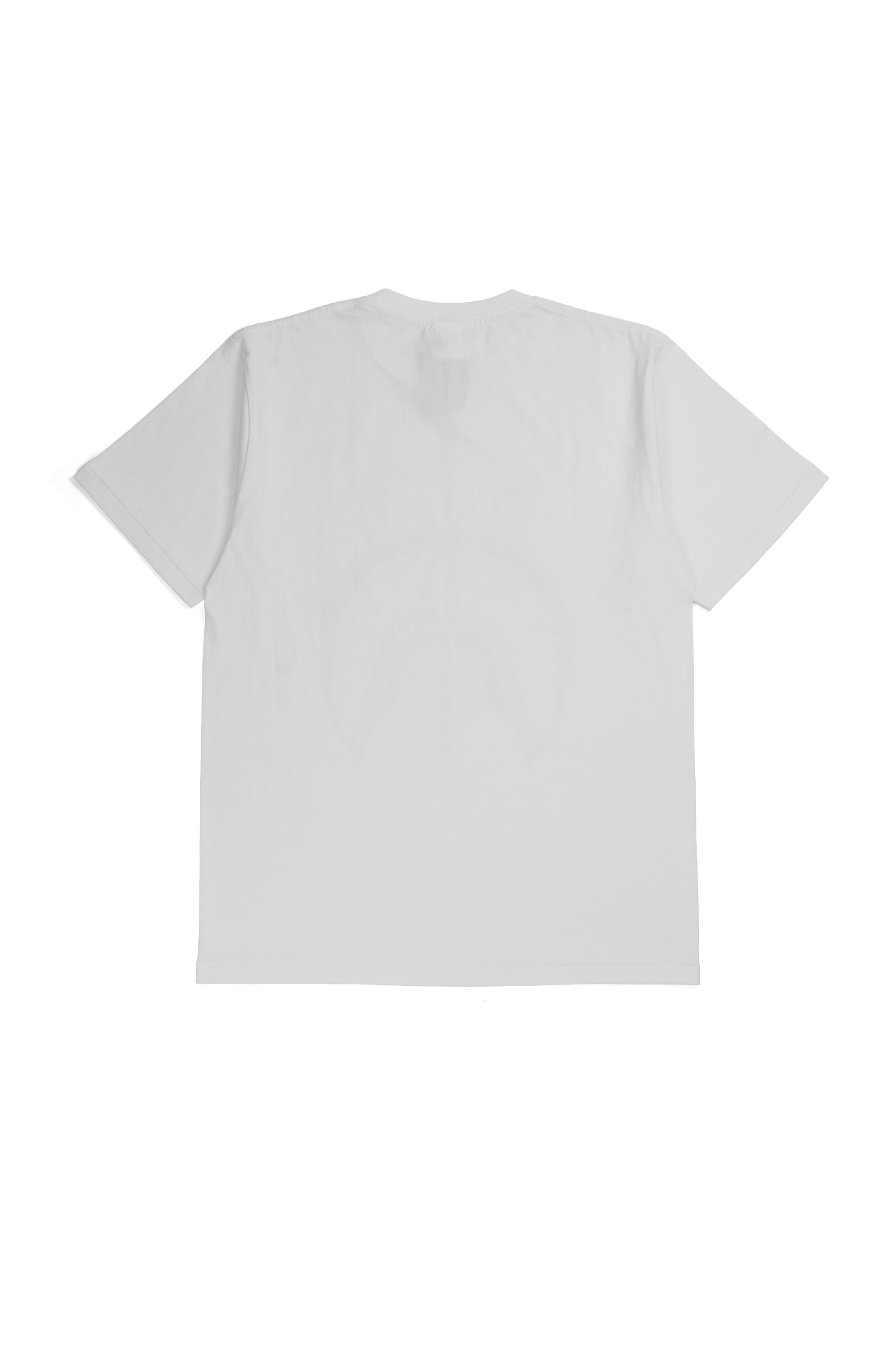 Shark Tee White