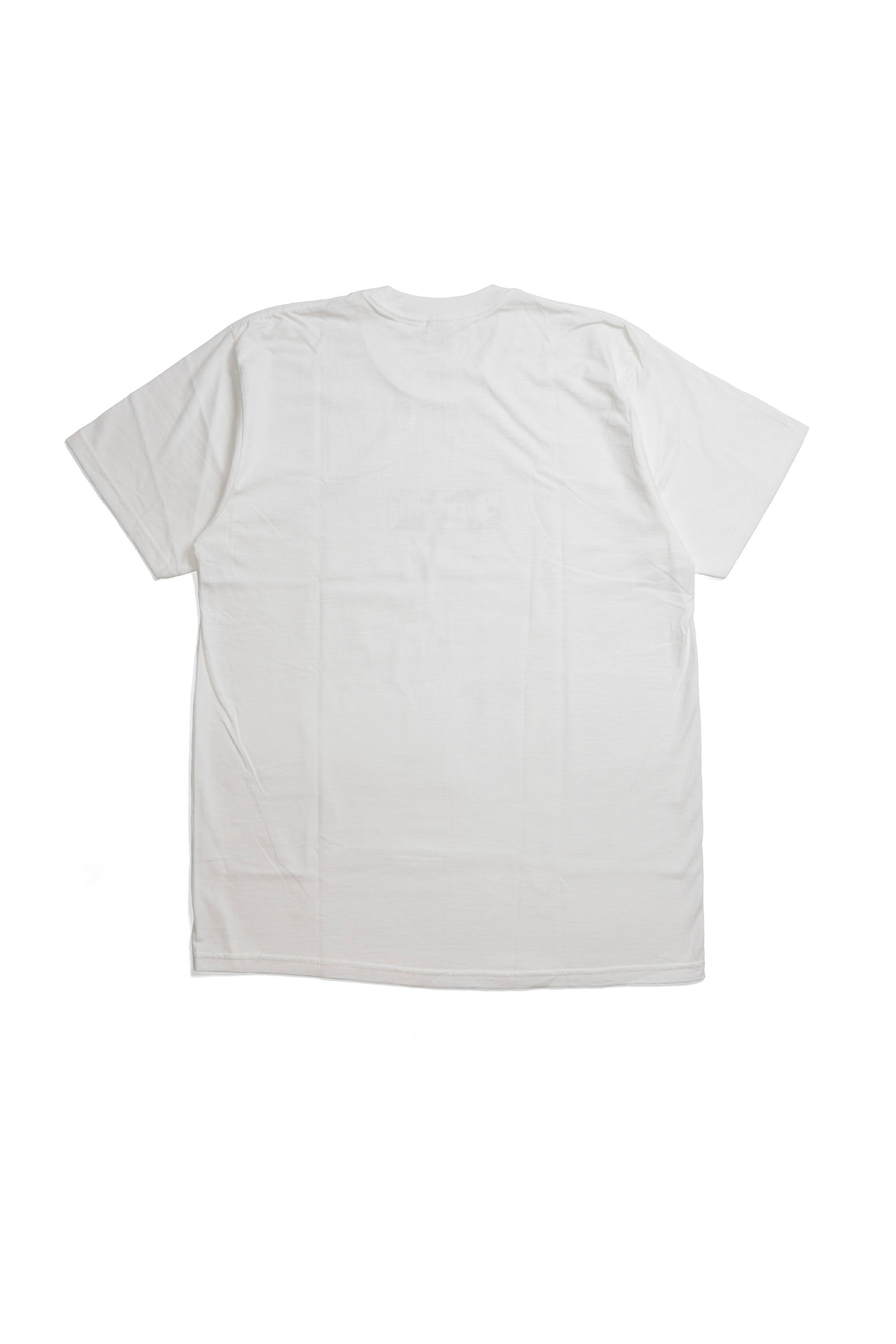 Box Logo Tee (FW23)	White