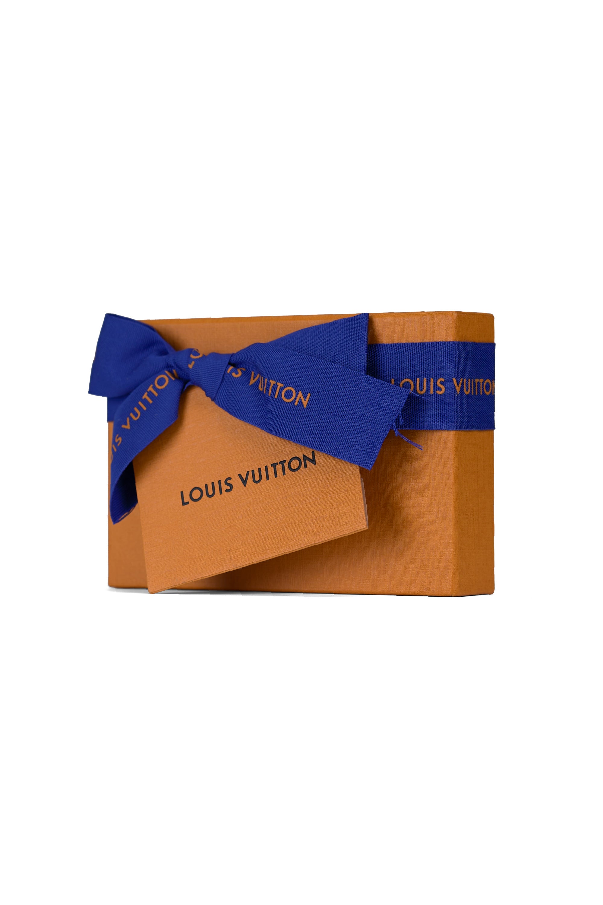 LV Club Chain Single Pin Earring Sillver